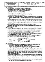 Đề thi thử Học sinh giỏi cấp tỉnh Hóa học Lớp 12 - Năm học 2019 - Trường THPT Lao Bảo (Có đáp án)